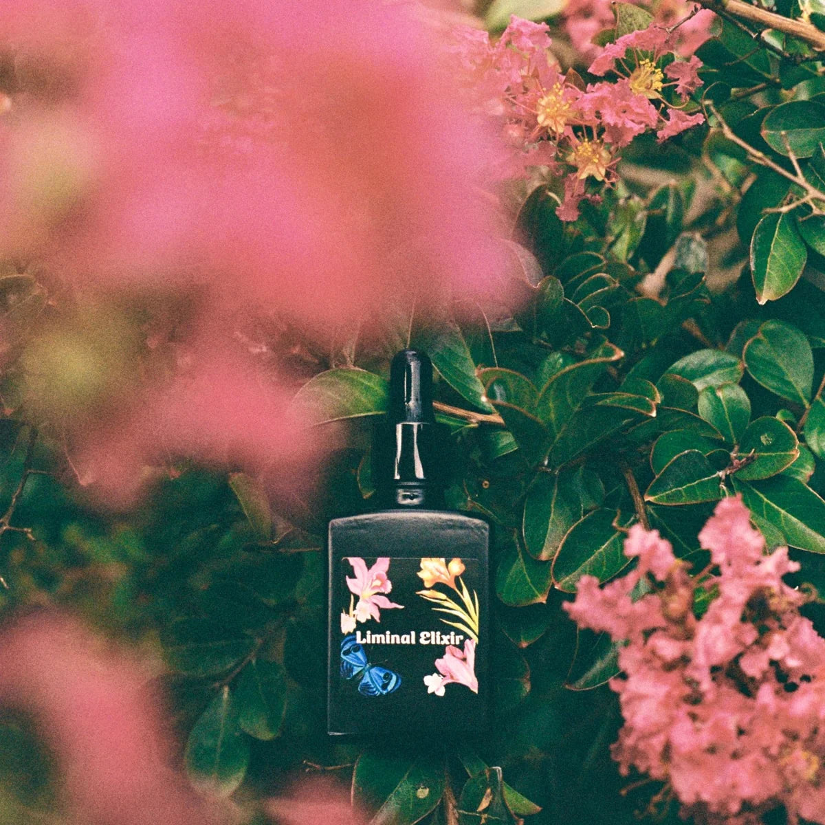 Skincare bottle with floral design on a leafy background