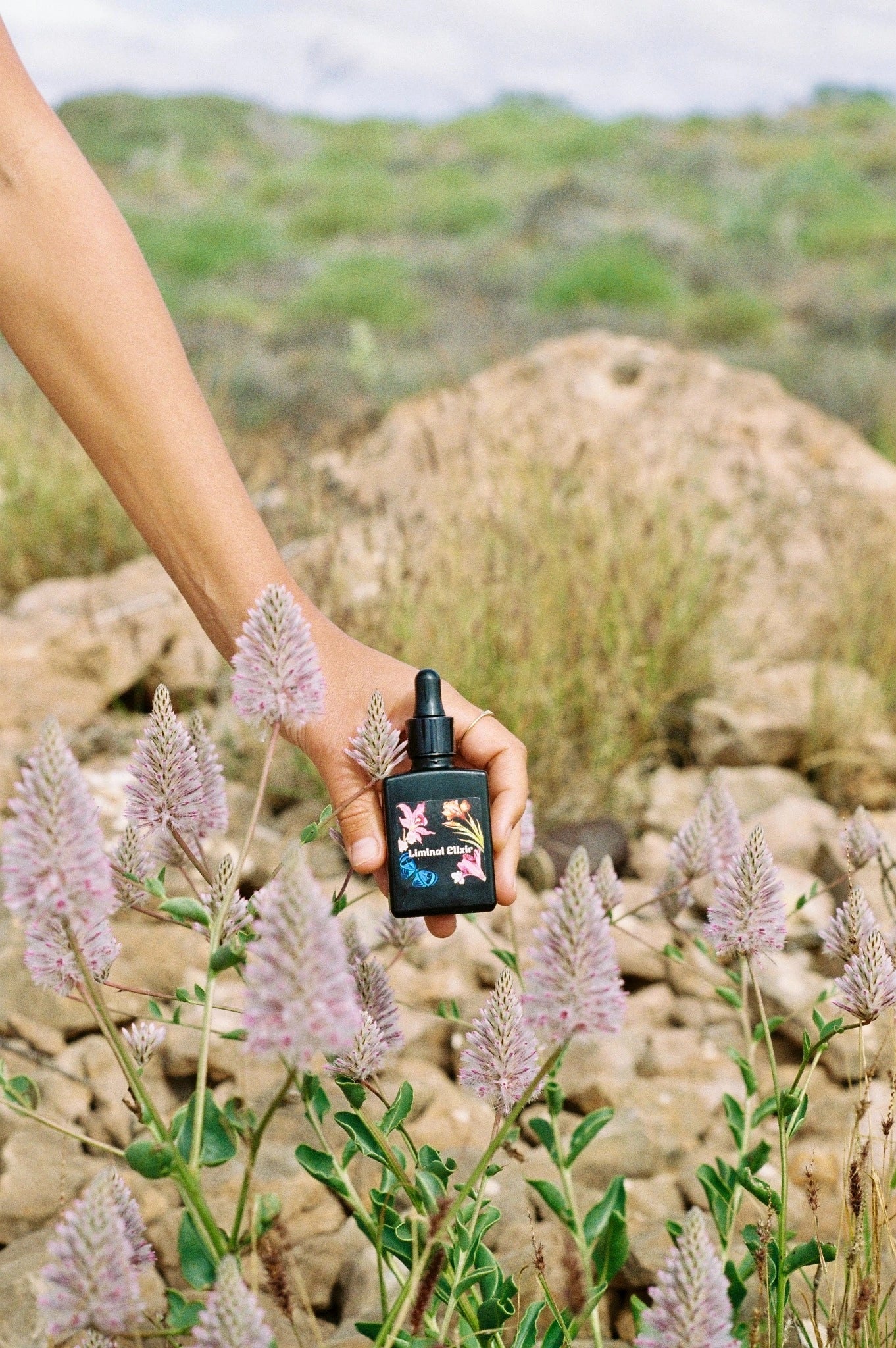 Hand holding a black bottle with floral design among purple flowers and rocks.