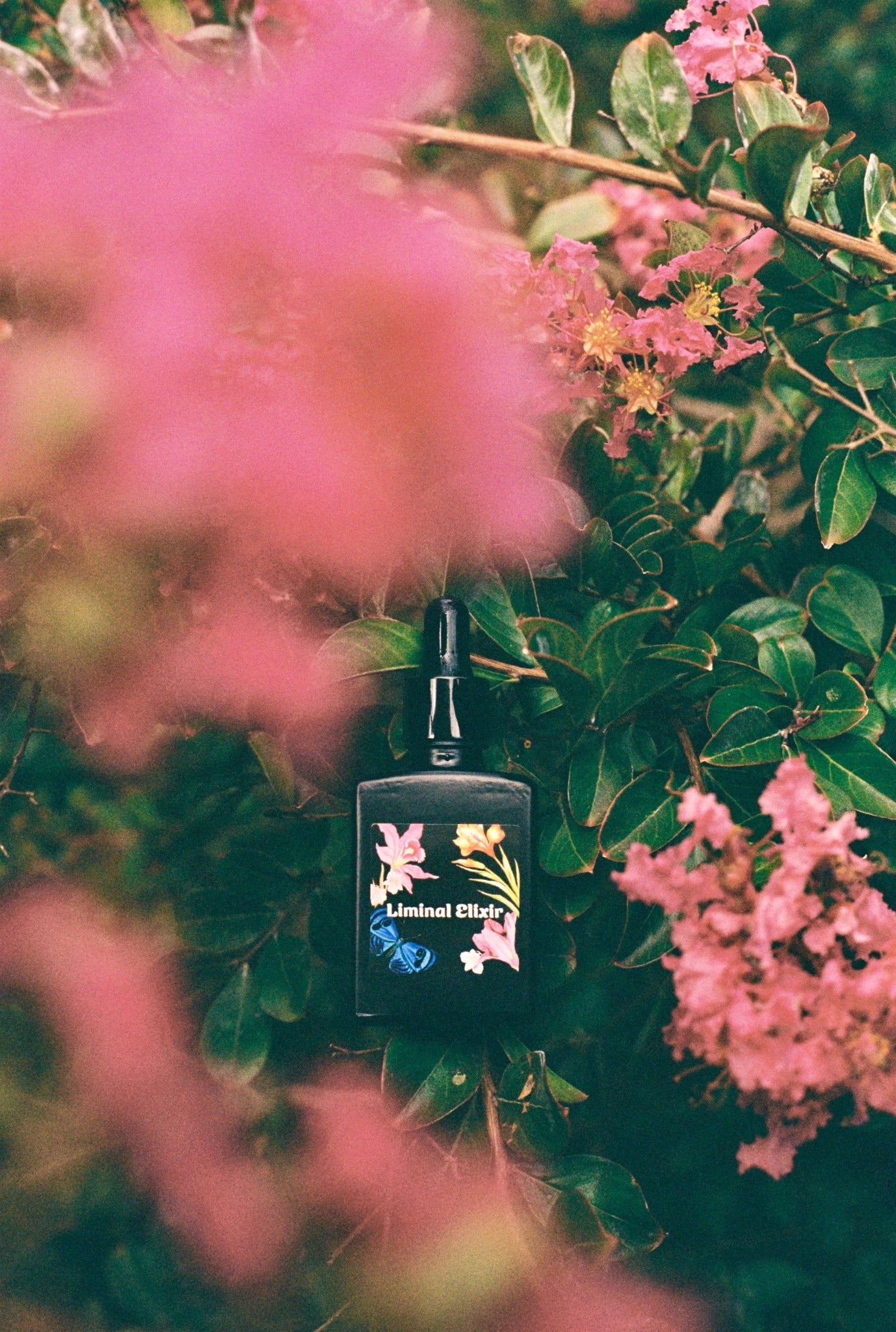 Black oil bottle with floral design on a green leafy background