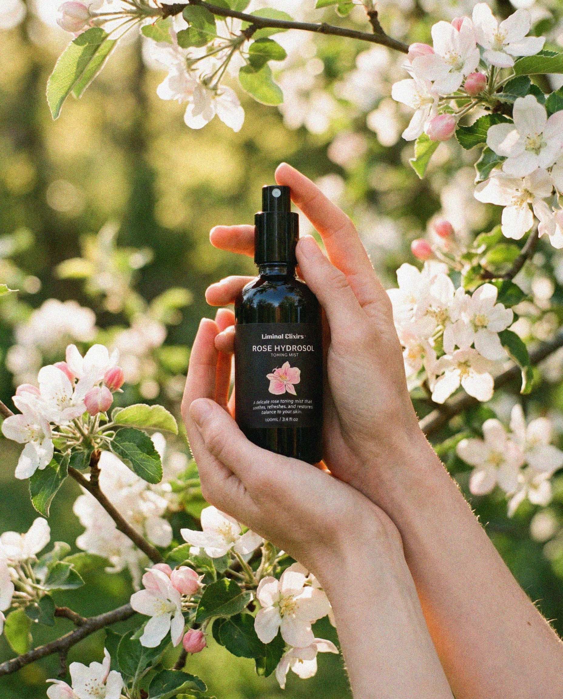 Rose Hydrosol Spray