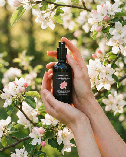Rose Hydrosol Spray
