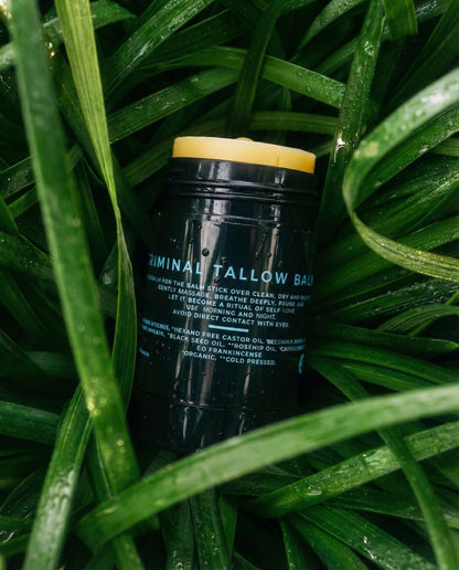 Tallow Balm